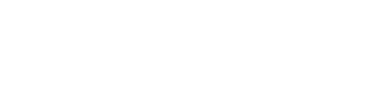 Logo partenaire SnowFlake